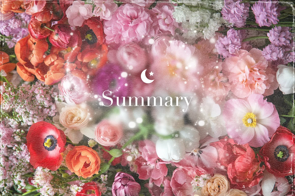 summary4