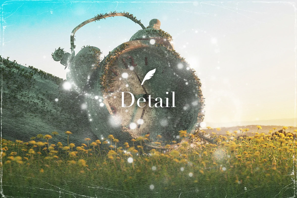 detailイメージ