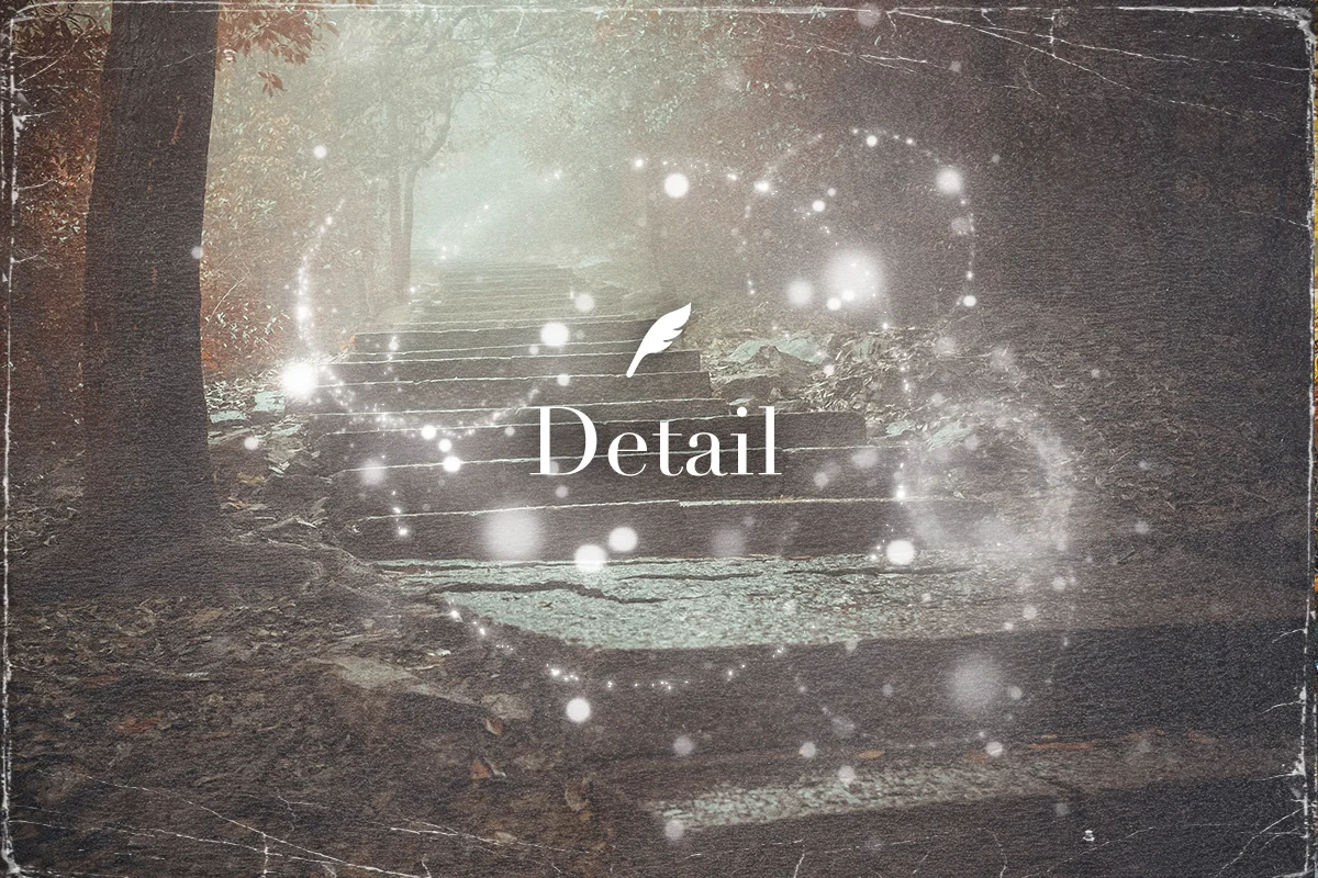 detailイメージ