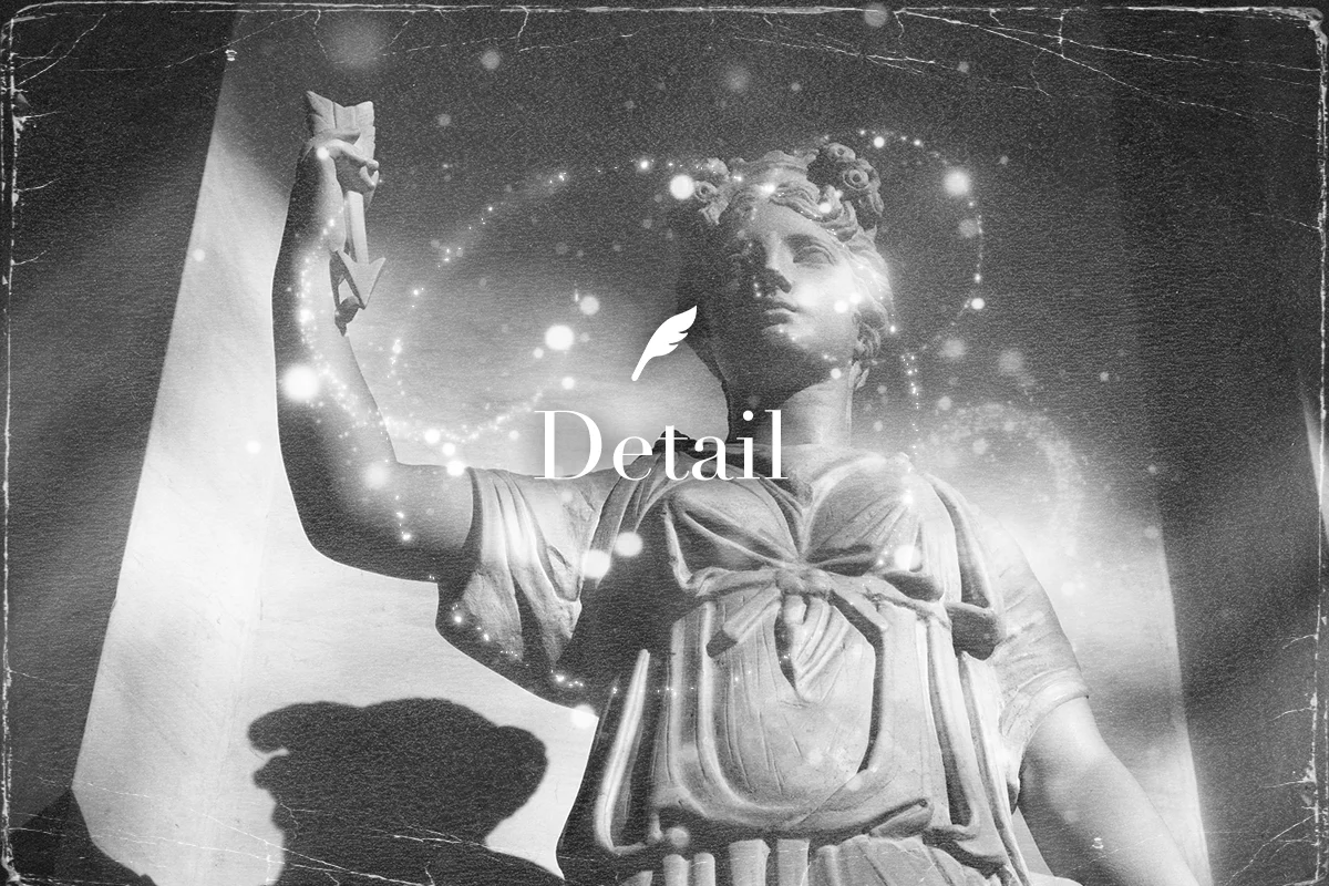 detailイメージ