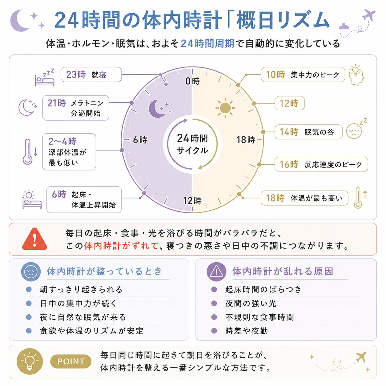 体内時計イメージ