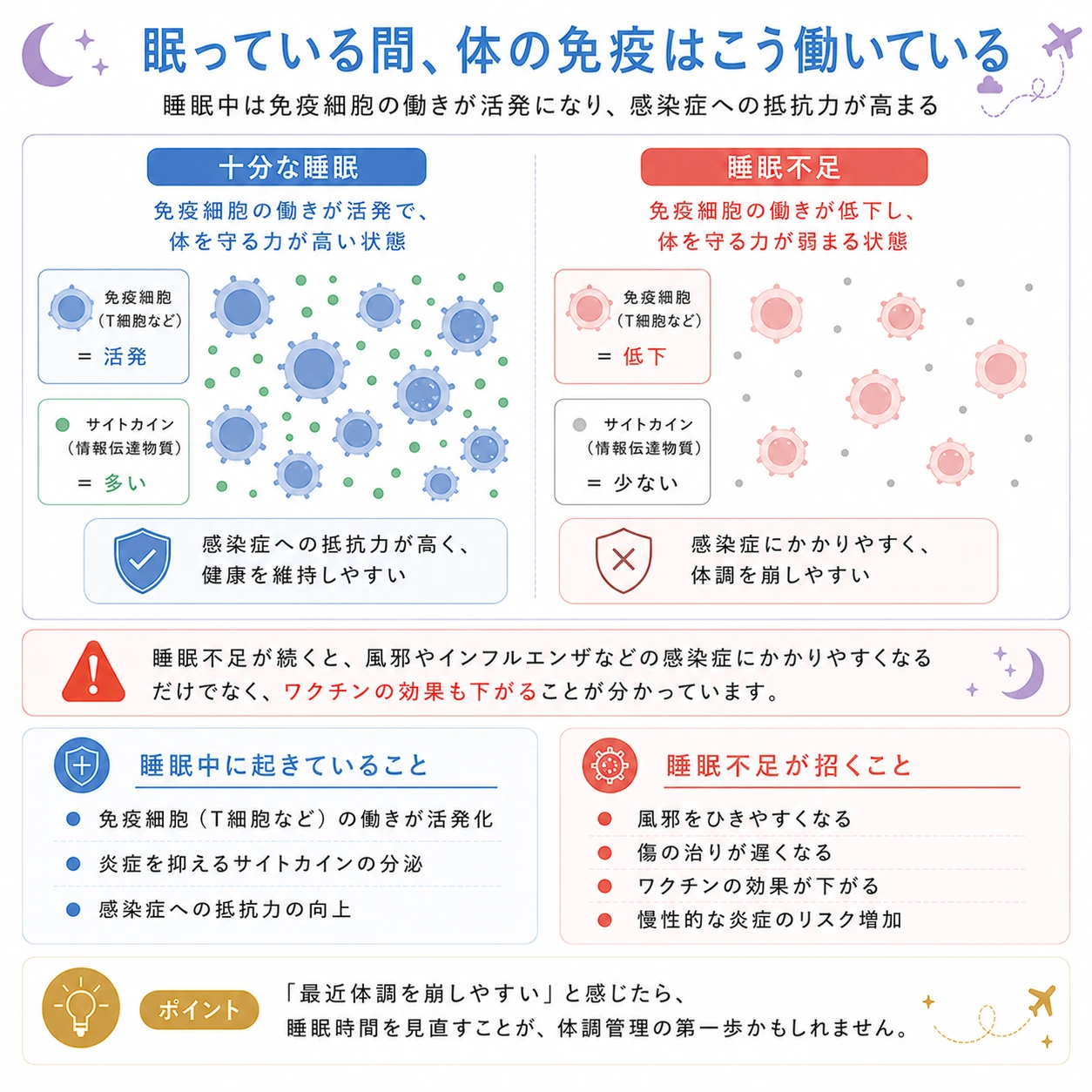 睡眠と免疫の関係イメージ