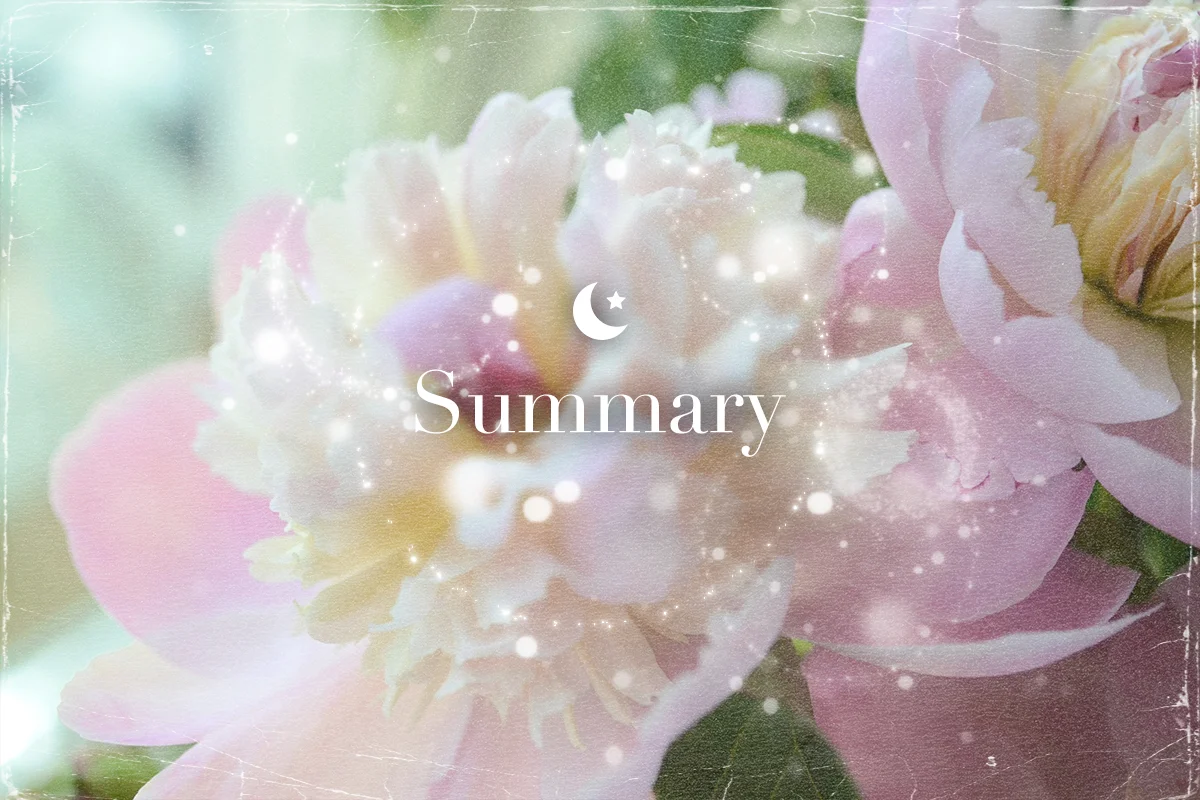 summary