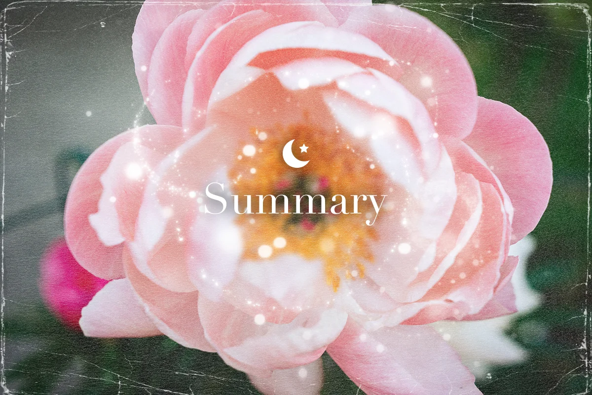 summaryイメージ