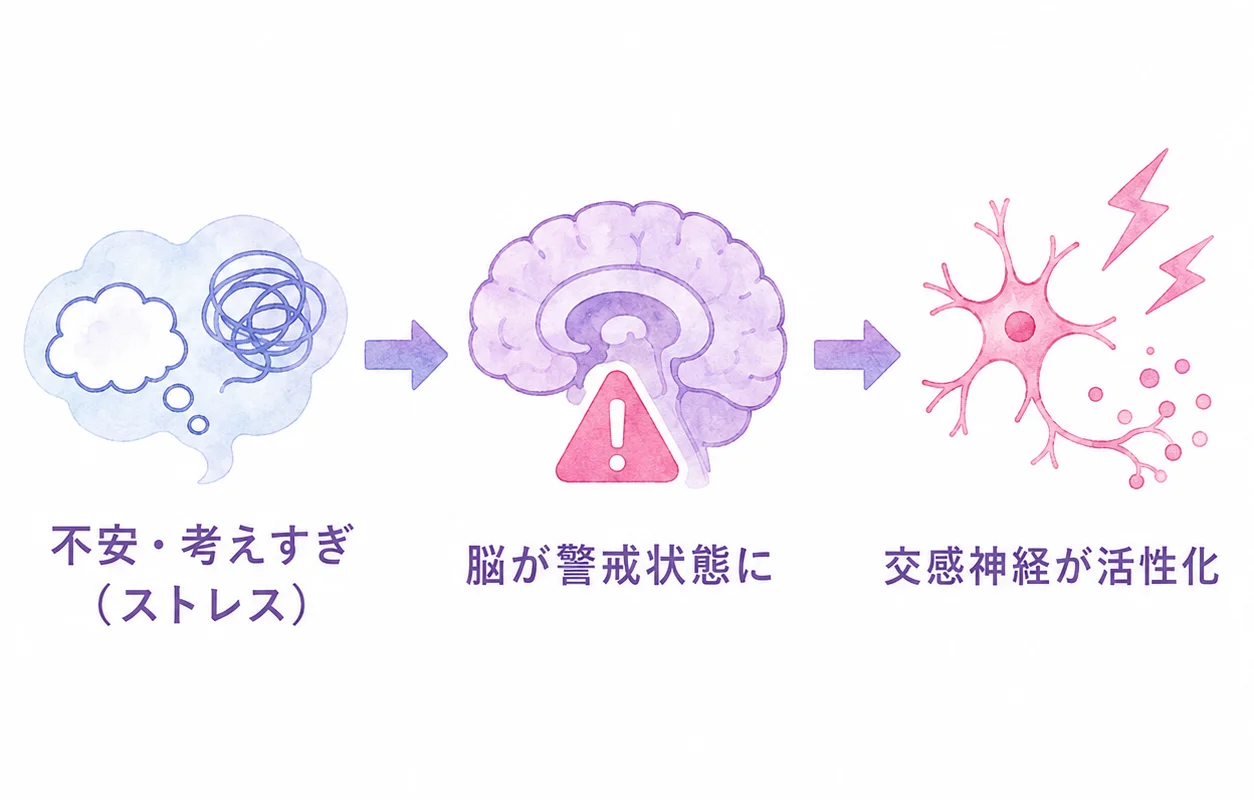 不安や考えすぎが脳を警戒状態にし、交感神経を活性化させる仕組みを表す図解