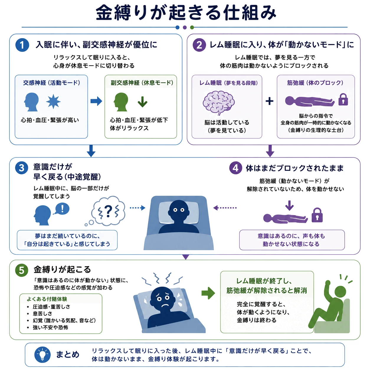金縛りが起きる仕組み(レム睡眠中の脳と体のズレ、意識だけ先に覚醒し脱力が解けていない状態)