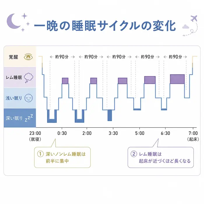 レム睡眠周期イメージ